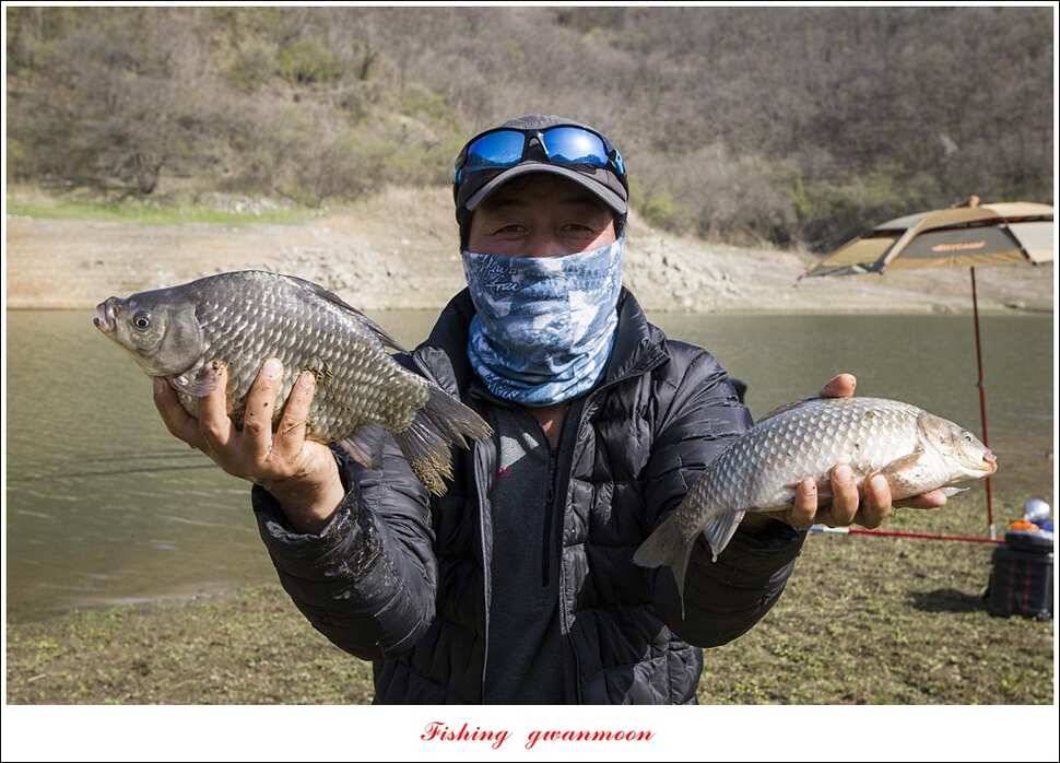 실리곡충주호 노지달천강괴산권 조황 (조황조행기 - 특파원조황)