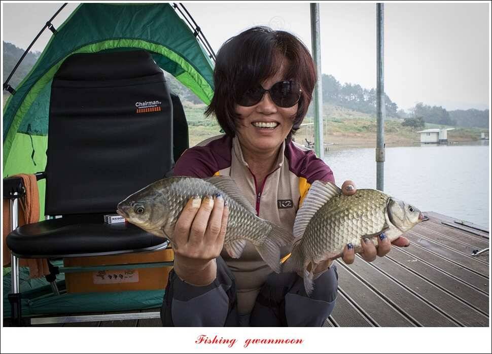 한버들실리곡매전지 조황 (조황조행기 - 특파원조황)