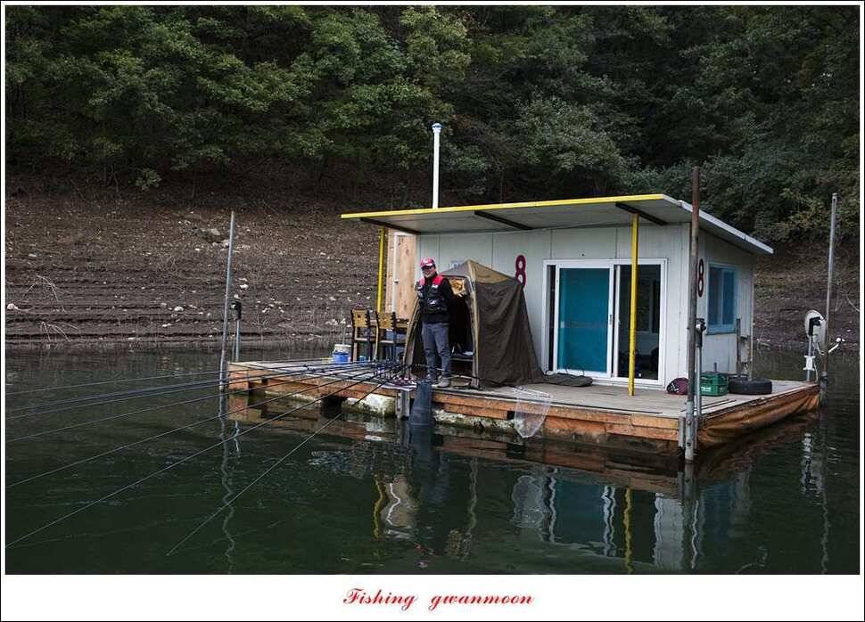 늘푸른실리곡한버들 월척 조황 (조황조행기 - 특파원조황)