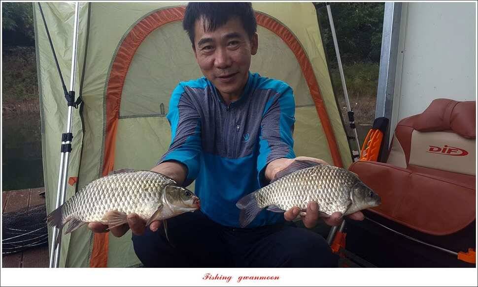 청풍 신리 39 cm 및 월척 조황 (조황조행기 - 특파원조황)