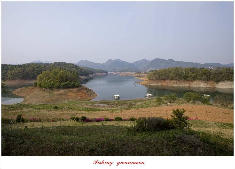 실리곡 사짜한버들 사짜 (조황조행기 - 특파원조황)