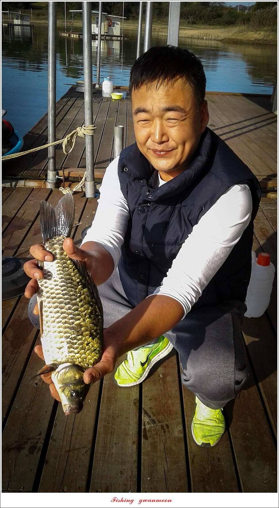신매 38 cm한버들 39 cm 대물과 마릿수 월척 조황 (조황조행기 - 특파원조황)