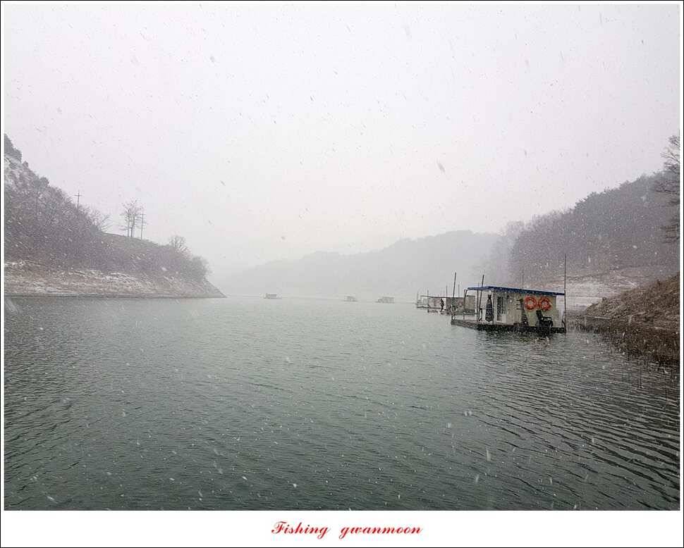 실리곡 마릿수 월척 조황 (조황조행기 - 특파원조황)