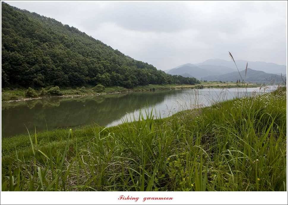 늘푸른 대물 장어한버들신리 월척 조황 (조황조행기 - 특파원조황)
