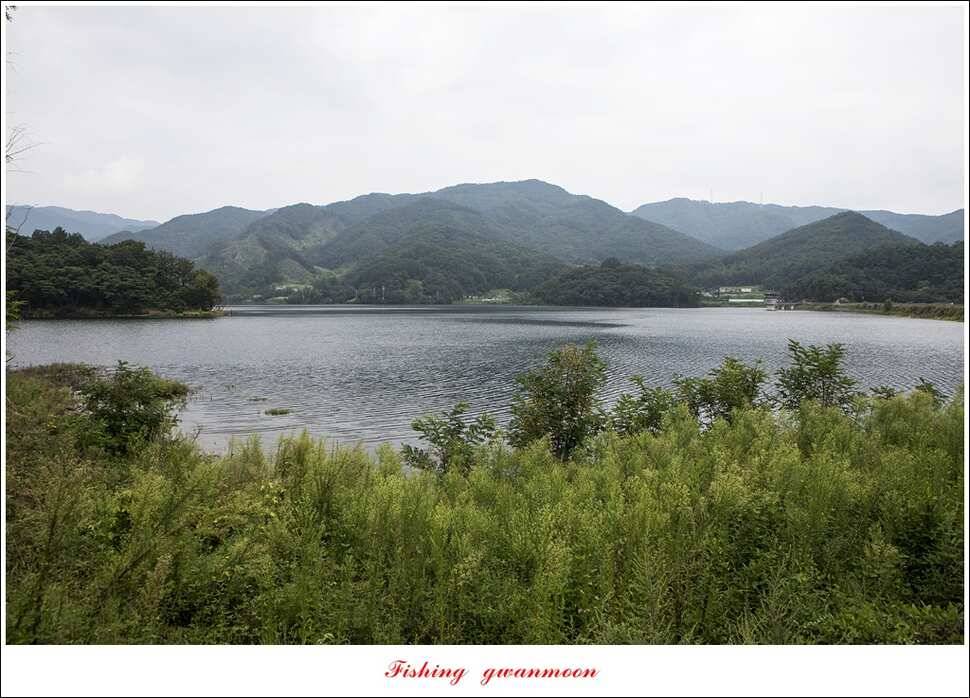 추평지화곡지한버들두무소달천강소류지 조황 (조황조행기 - 특파원조황)