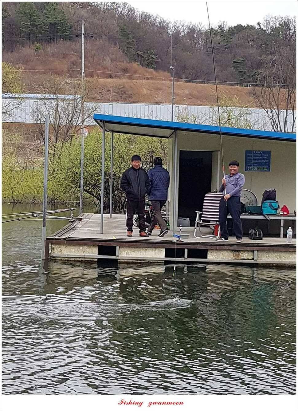 화곡지 사짜실리곡 마릿수 조황 (조황조행기 - 특파원조황)