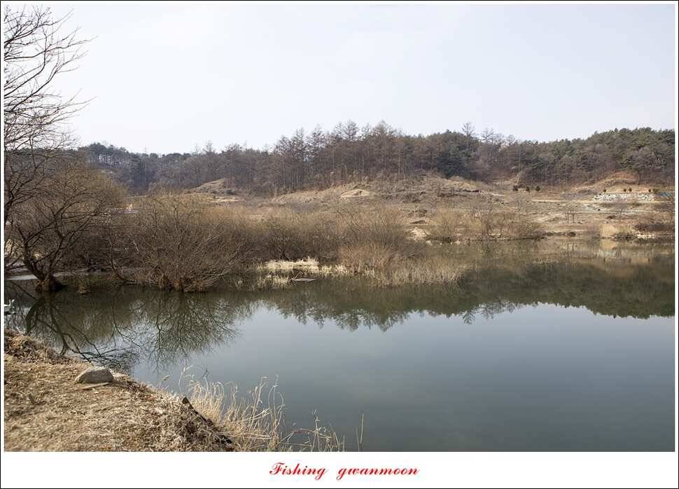 충주괴산권 물낚시 (조황조행기 - 특파원조황)