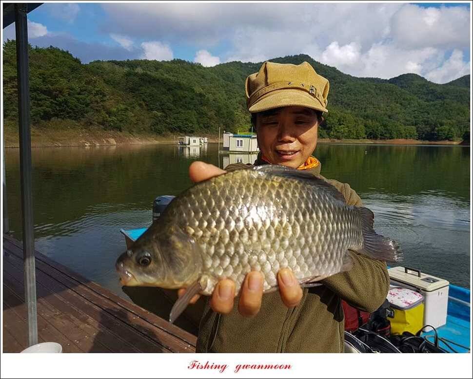 돌감 375 cm실리곡 월척 조황 (조황조행기 - 특파원조황)