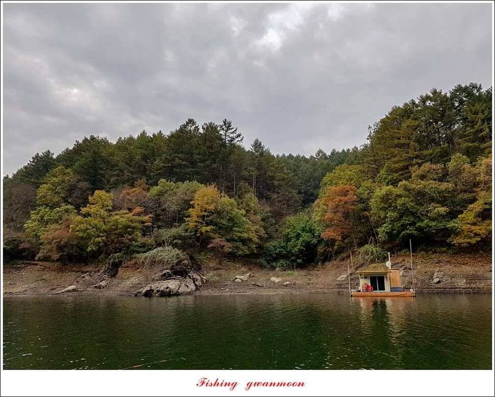 화곡지 사짜늘푸른 허리급달천강 월척 (조황조행기 - 특파원조황)