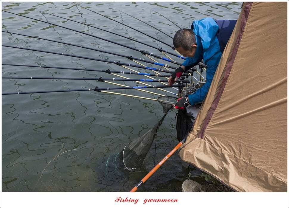 추평지 504 cm485 cm화곡지돌감실리곡 조황 (조황조행기 - 특파원조황)