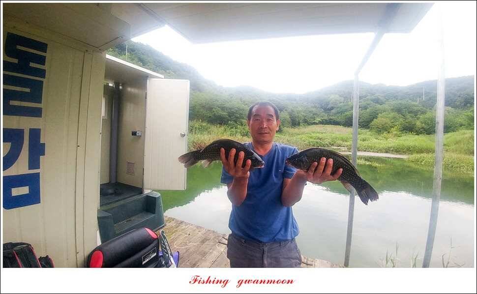 매전지화곡지돌감실리곡한버들 조황 (조황조행기 - 특파원조황)