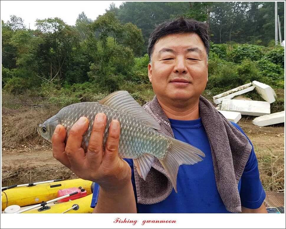 한버들실리곡매전지 조황 (조황조행기 - 특파원조황)
