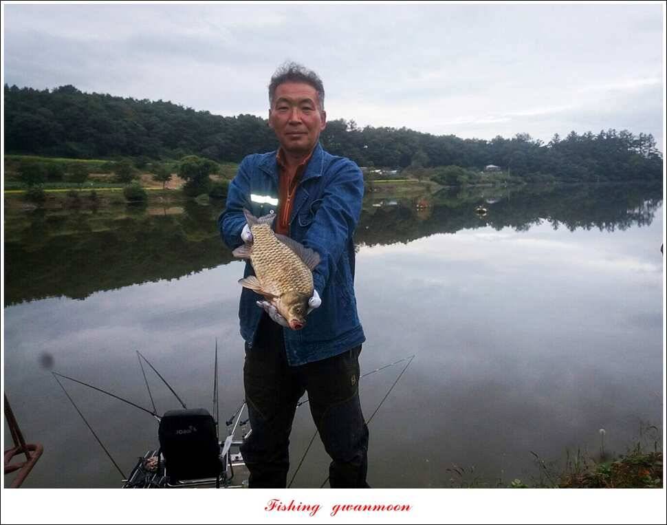 칠성지 사짜화곡지 신매 실리곡 월척 조황 (조황조행기 - 특파원조황)