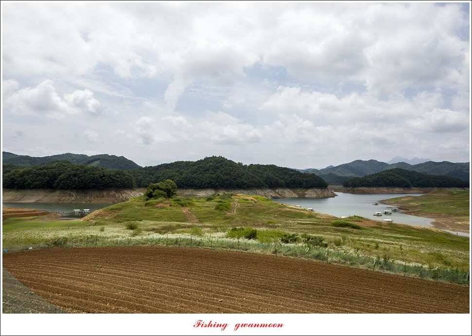 충주호 오름수위 (조황조행기 - 특파원조황)
