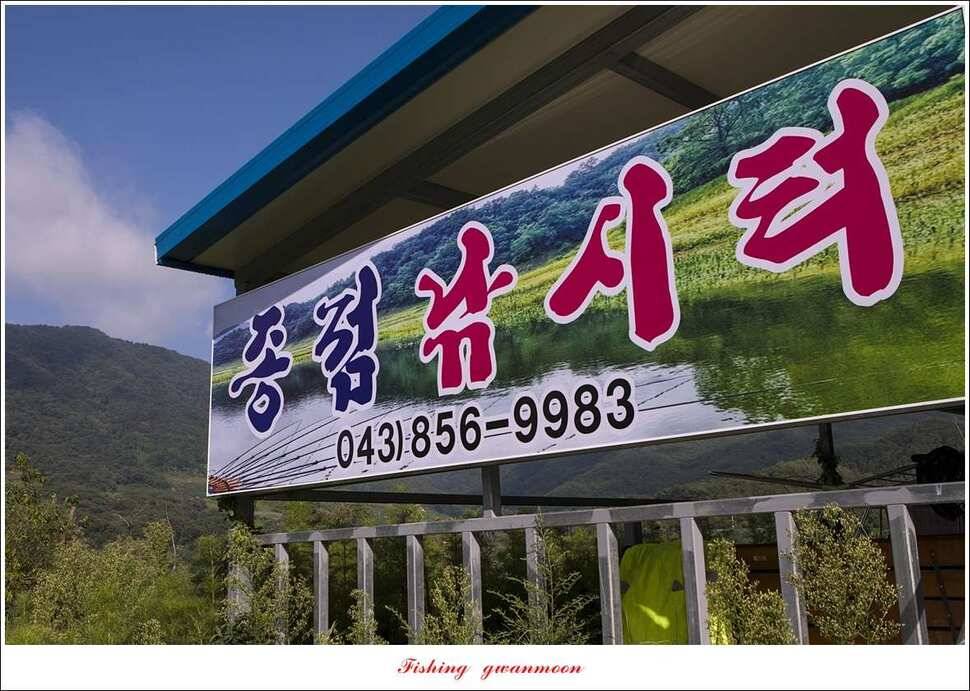 종점청풍 신리소이지 43 cm매전지 조황 (조황조행기 - 특파원조황)