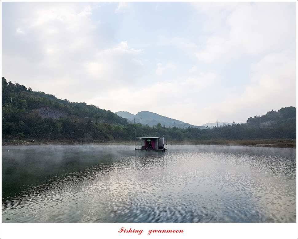 제일 46 cm병호한버들 실리곡 월척 조황 (조황조행기 - 특파원조황)