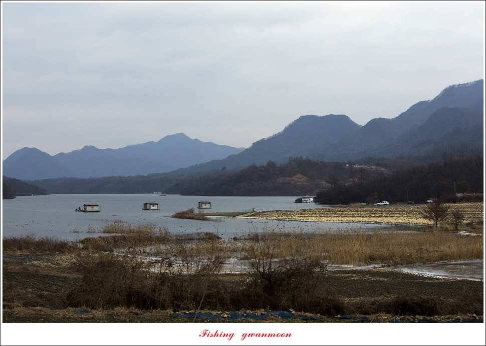 충주호 물낚시와 빙어 낚시 조황 (조황조행기 - 특파원조황)