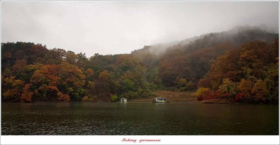 칠성지 사짜 2 수실리곡 마릿수 월척 조황 (조황조행기 - 특파원조황)