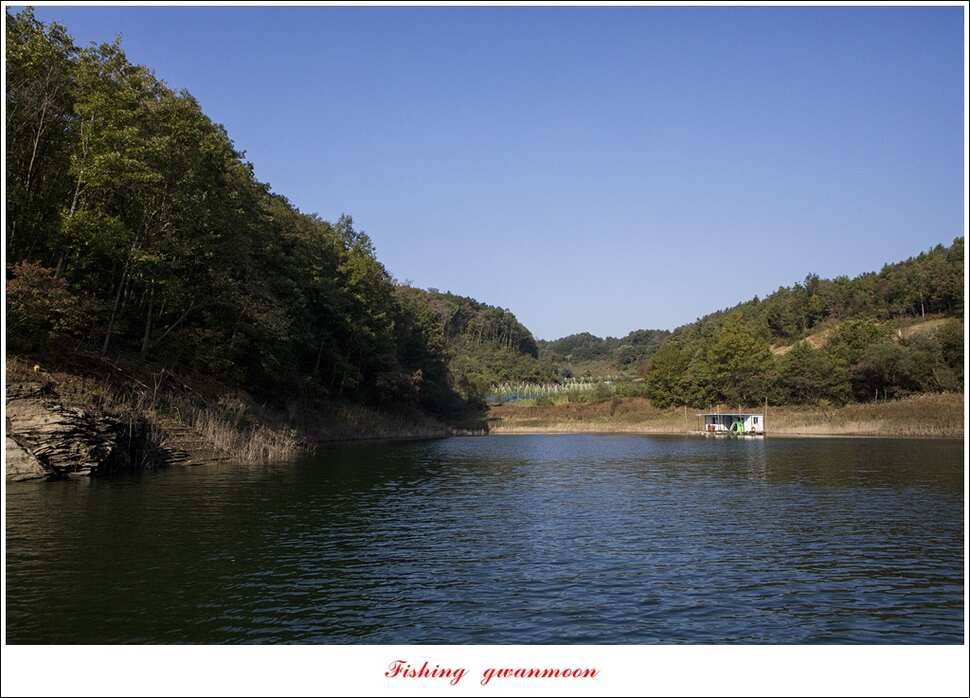 신매윤병호돌감 좌대 월척 조황 (조황조행기 - 특파원조황)