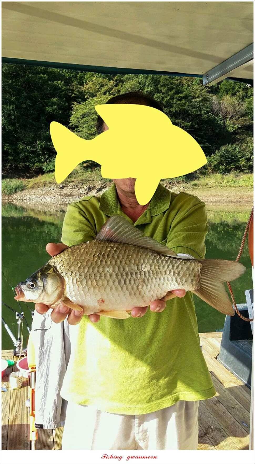 한버들실리곡매전지 조황 (조황조행기 - 특파원조황)