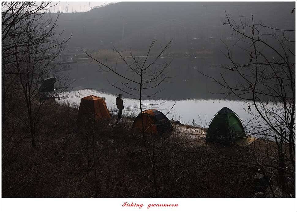 화곡지 사짜 및 마릿수 월척 칠성지 조황 (조황조행기 - 특파원조황)