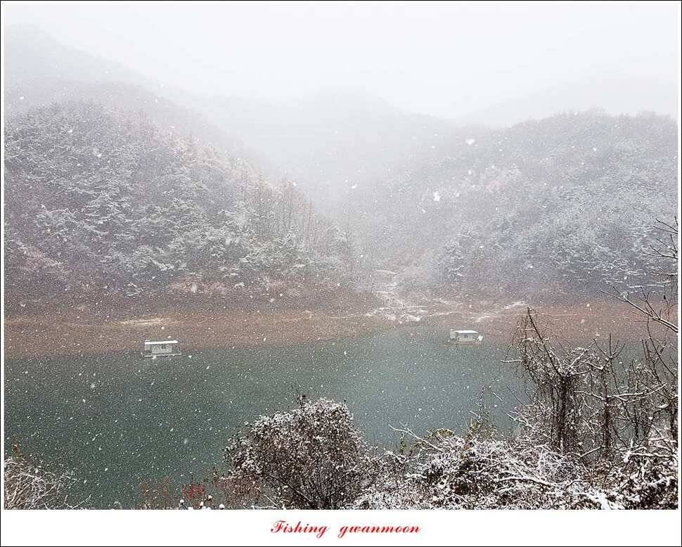 제일 47 cm 대물실리곡한버들 마릿수 월척 조황 (조황조행기 - 특파원조황)