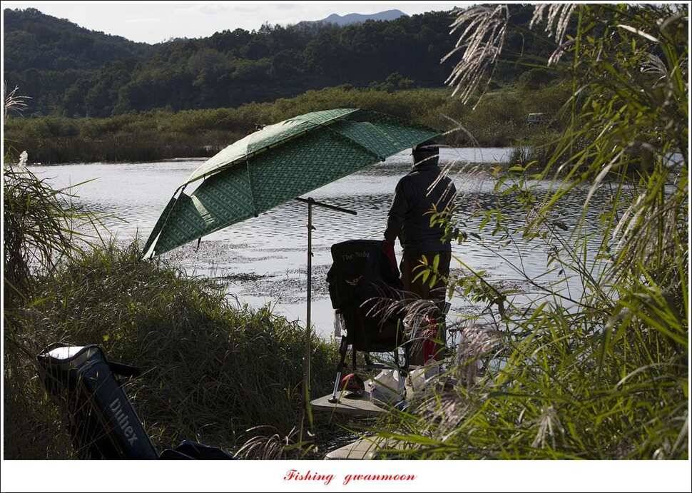 실리곡 39 cm신리 조황 및 충주권 대물 조황 (조황조행기 - 특파원조황)
