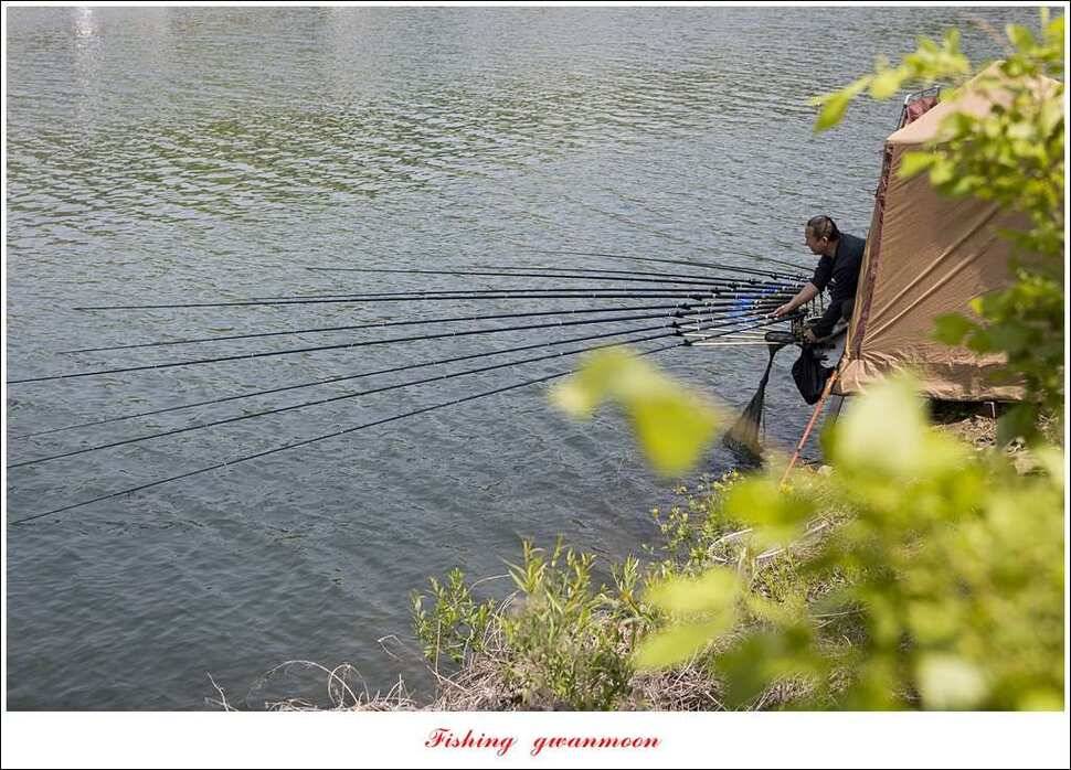 추평지 504 cm485 cm화곡지돌감실리곡 조황 (조황조행기 - 특파원조황)