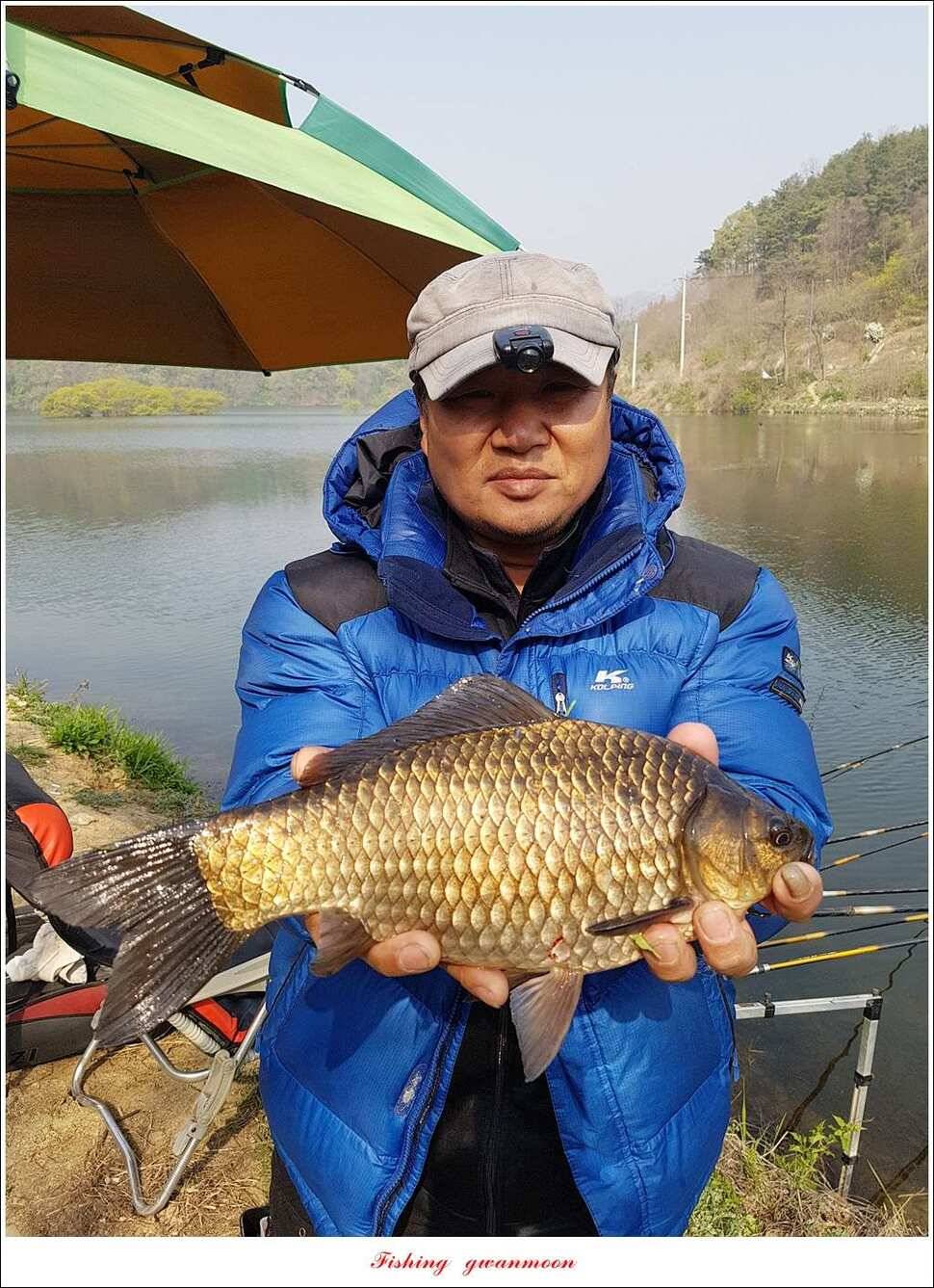 실리곡 사짜화곡지 사짜한버들 38cm 조황 (조황조행기 - 특파원조황)