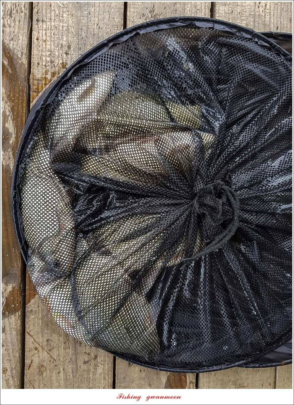 늘푸른실리곡한버들노지 조황 (조황조행기 - 특파원조황)