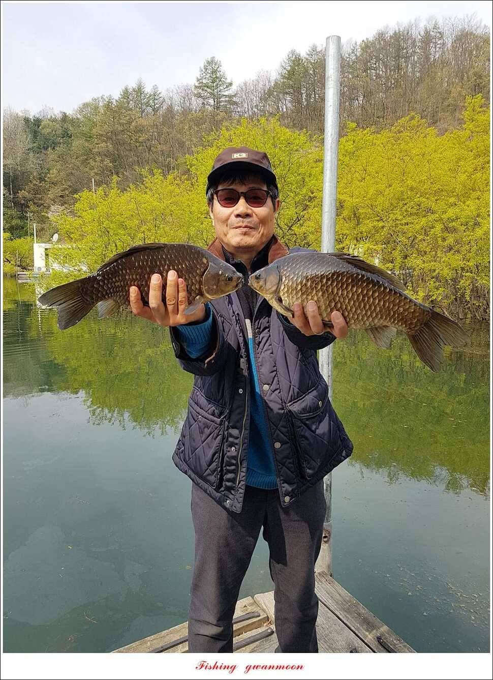실리곡 사짜화곡지 사짜한버들 38cm 조황 (조황조행기 - 특파원조황)