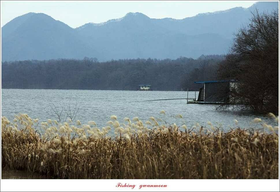 충주호 물낚시와 빙어 낚시 조황 (조황조행기 - 특파원조황)
