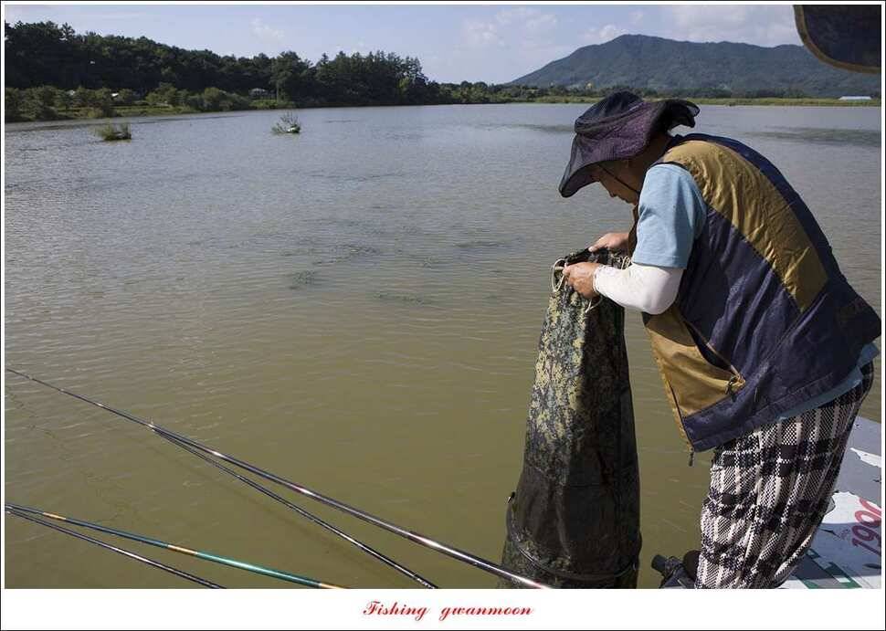청풍 신리 사짜 및 마릿수 월척칠성지 월척 조황 (조황조행기 - 특파원조황)