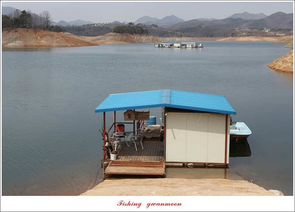충주호 첫 붕어달천강 월척 (조황조행기 - 특파원조황)