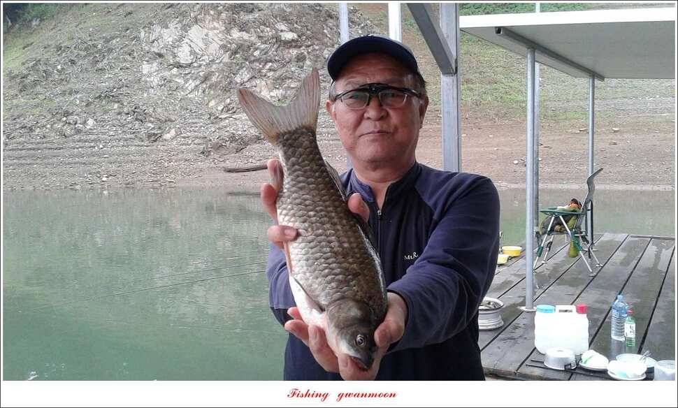 추평지 사짜병호 38 cm돌감한버들 실리곡 월척 조황 (조황조행기 - 특파원조황)