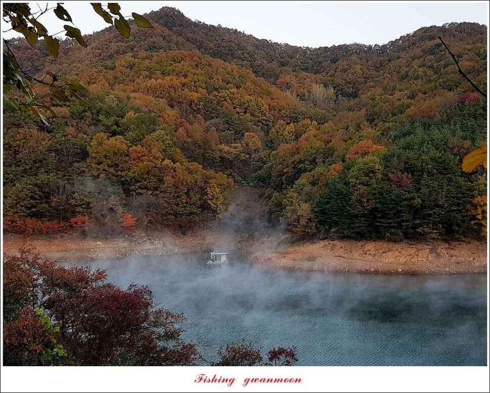 실리곡 허리급 월척 조황 (조황조행기 - 특파원조황)