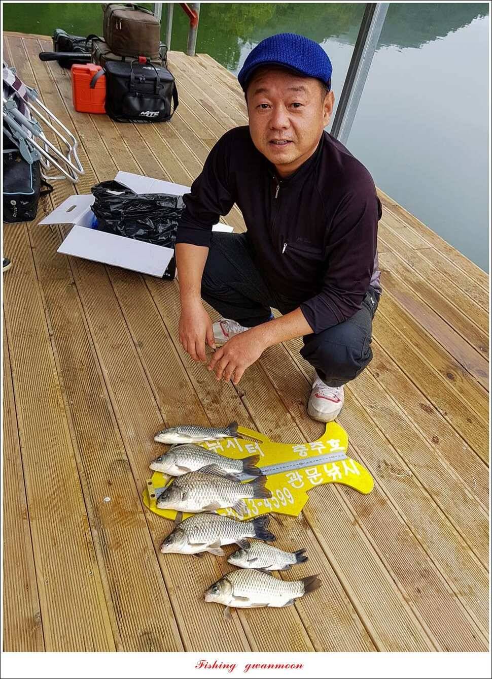 신매실리곡 월척 및 마릿수 조황 (조황조행기 - 특파원조황)