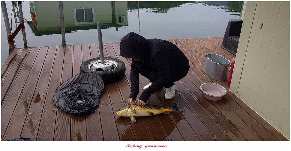 실리곡칠성지 월척 조황 (조황조행기 - 특파원조황)