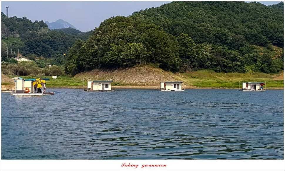 청풍 신리 월척 및 마릿수 조황돌감좌대 육초 작업 (조황조행기 - 특파원조황)
