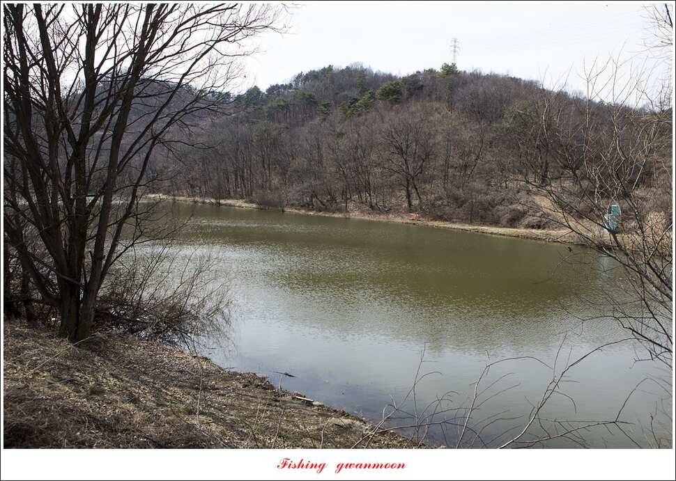 칠성지화곡지매전지추산지 현황 (조황조행기 - 특파원조황)