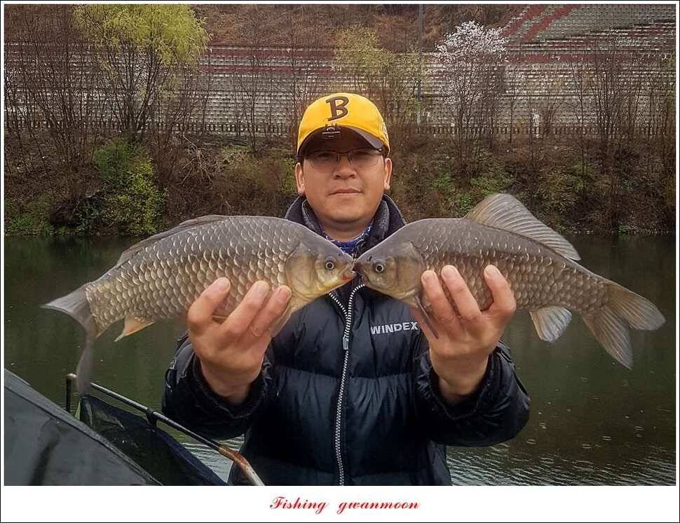 화곡지실리곡 월척매전지 사짜 조황 (조황조행기 - 특파원조황)