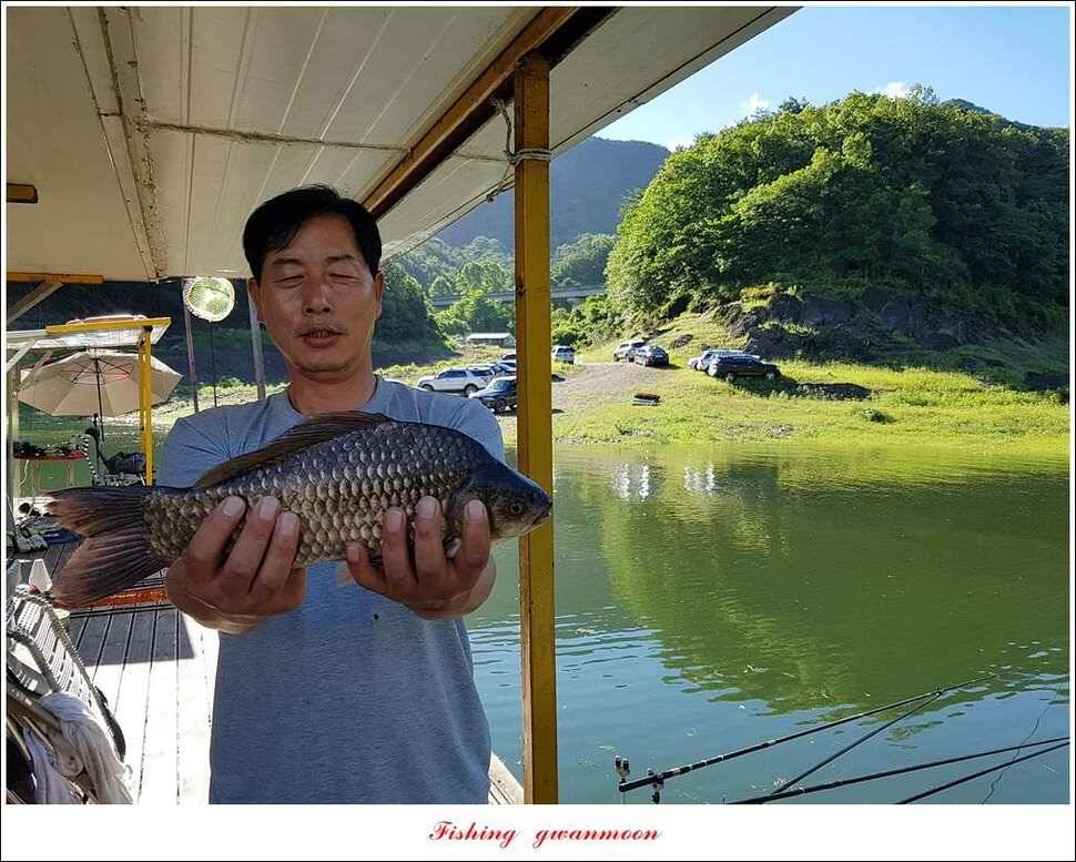 충주호 오름수위 대박 조황 (조황조행기 - 특파원조황)