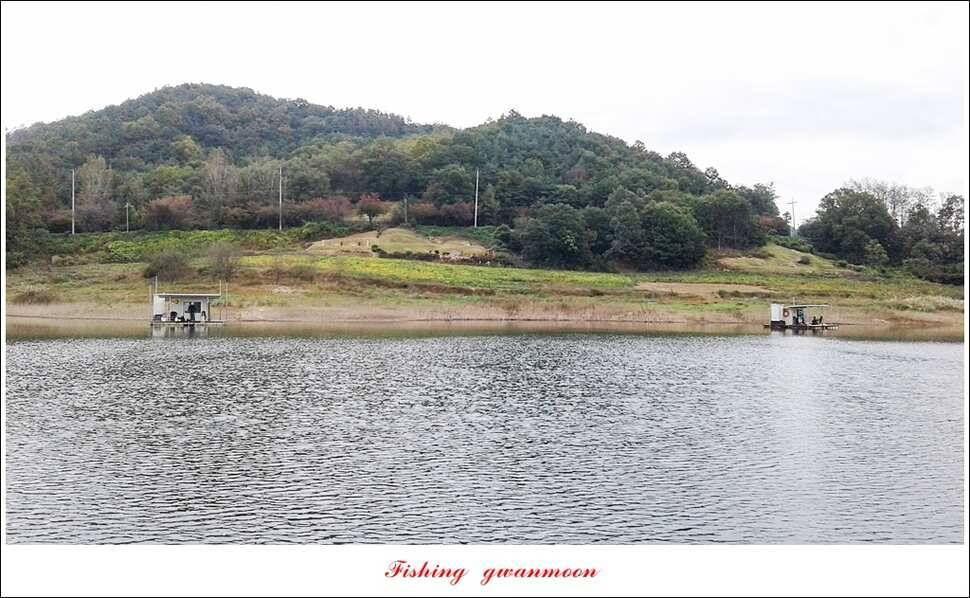 늘푸른실리곡한버들 월척 조황 (조황조행기 - 특파원조황)