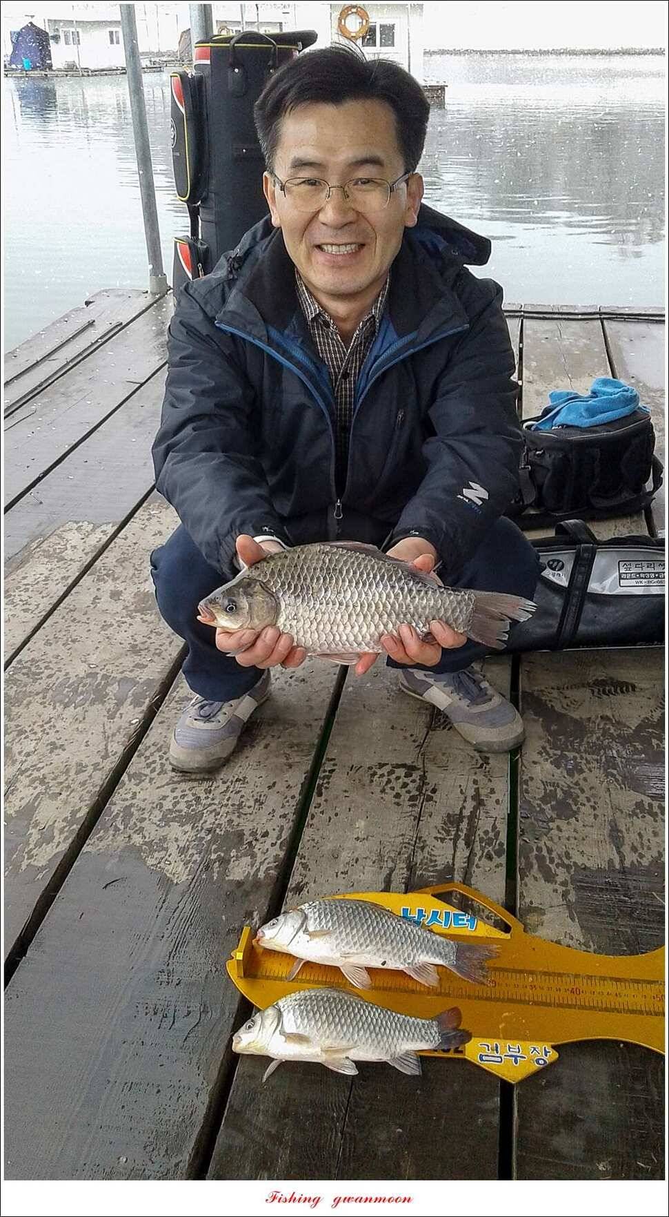 제일 47 cm 대물실리곡한버들 마릿수 월척 조황 (조황조행기 - 특파원조황)