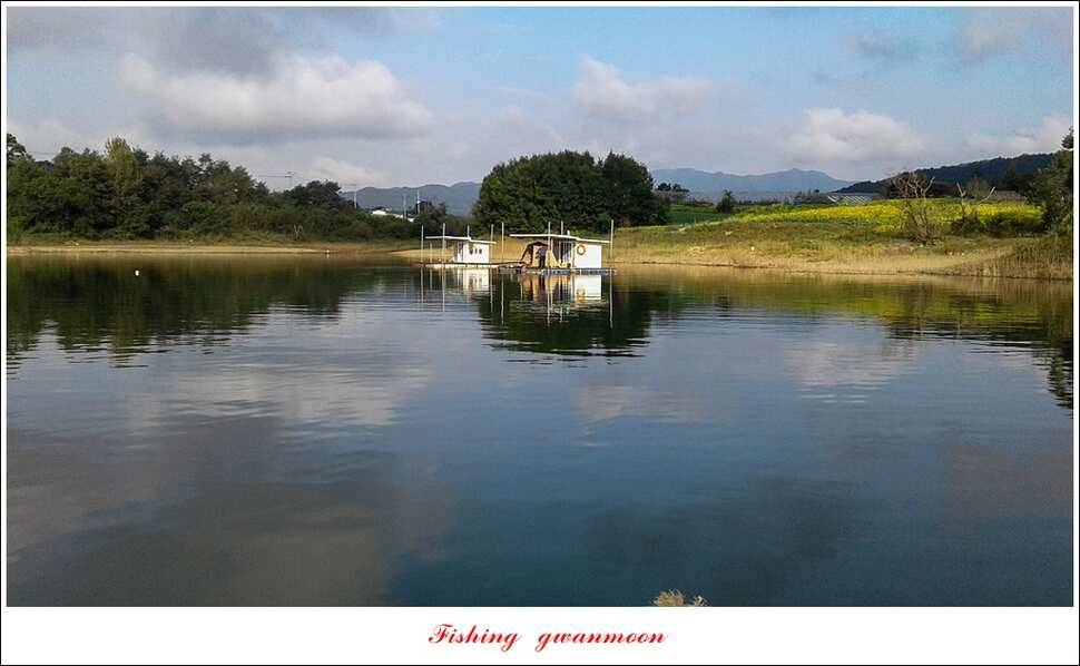 신매 사짜매전지 대물한버들 월척 조황 (조황조행기 - 특파원조황)
