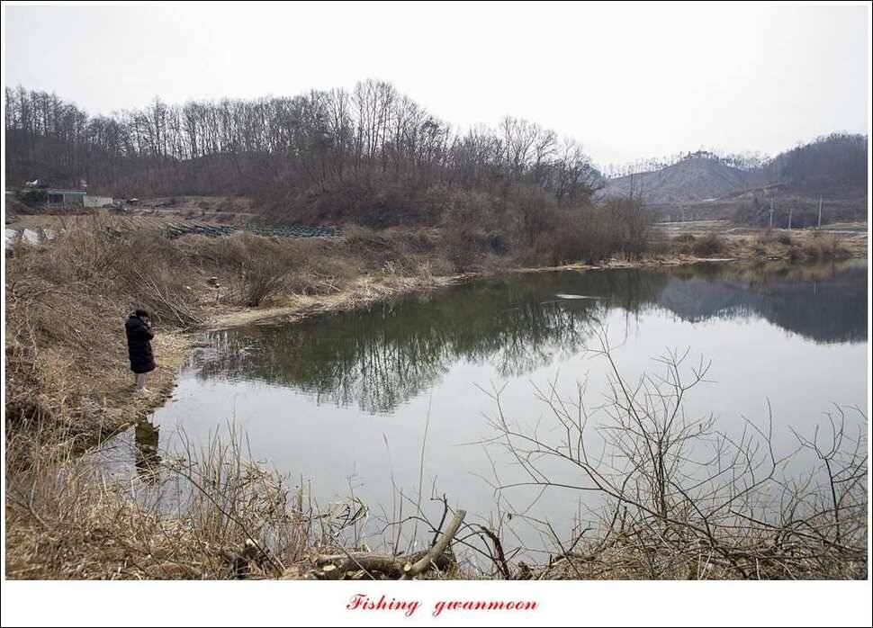 충주괴산권 물낚시 (조황조행기 - 특파원조황)