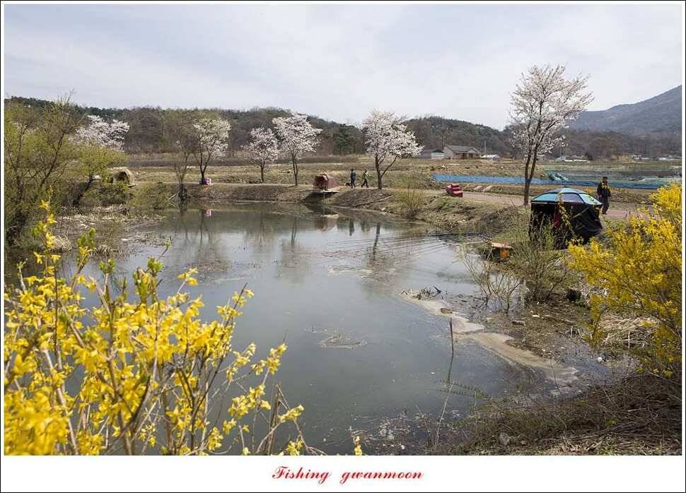 실리곡달천강매전지칠성지 (조황조행기 - 특파원조황)
