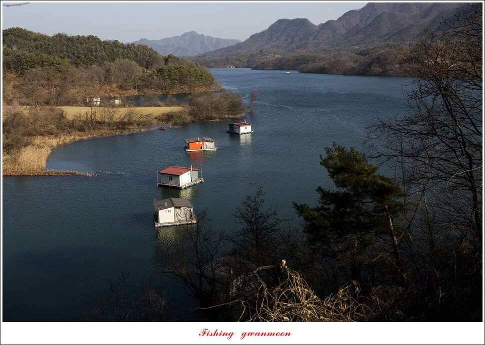 제일 낚시터 조황 (조황조행기 - 특파원조황)