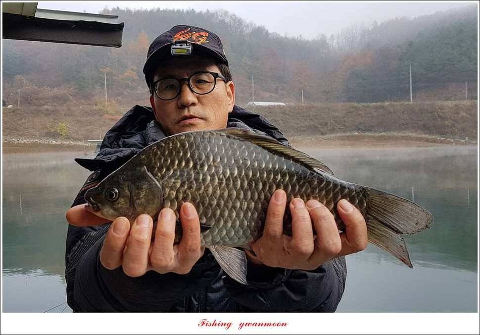 실리곡 낚시터 월척 조황 (조황조행기 - 특파원조황)