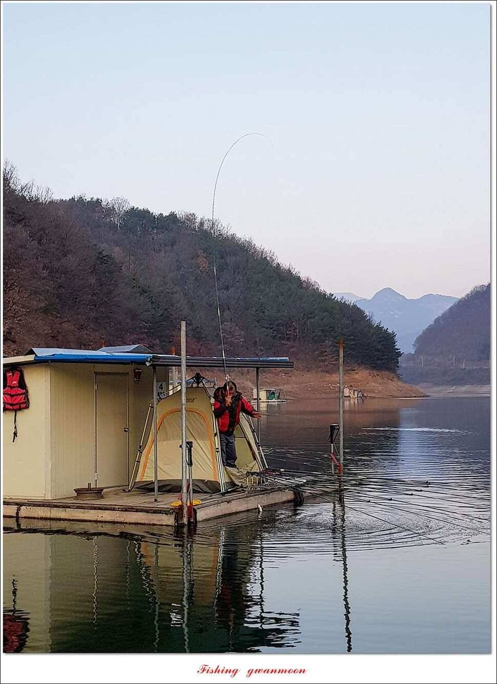 실리곡한버들 월척 및 대형 잉어 조황 (조황조행기 - 특파원조황)